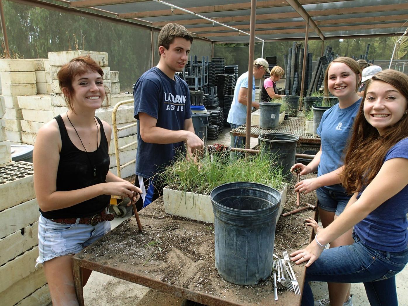 Putah Creek Council offers green jobs training, internships | News |  davisenterprise.com