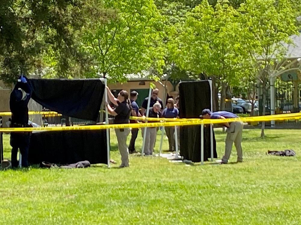 Police: Man found dead in Central Park is homicide victim | Crime, Fire ...