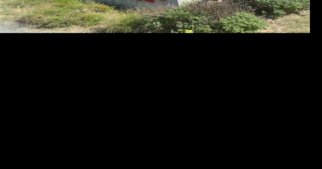 Gandhi statue vandalized in Central Park Crime, Fire + Courts