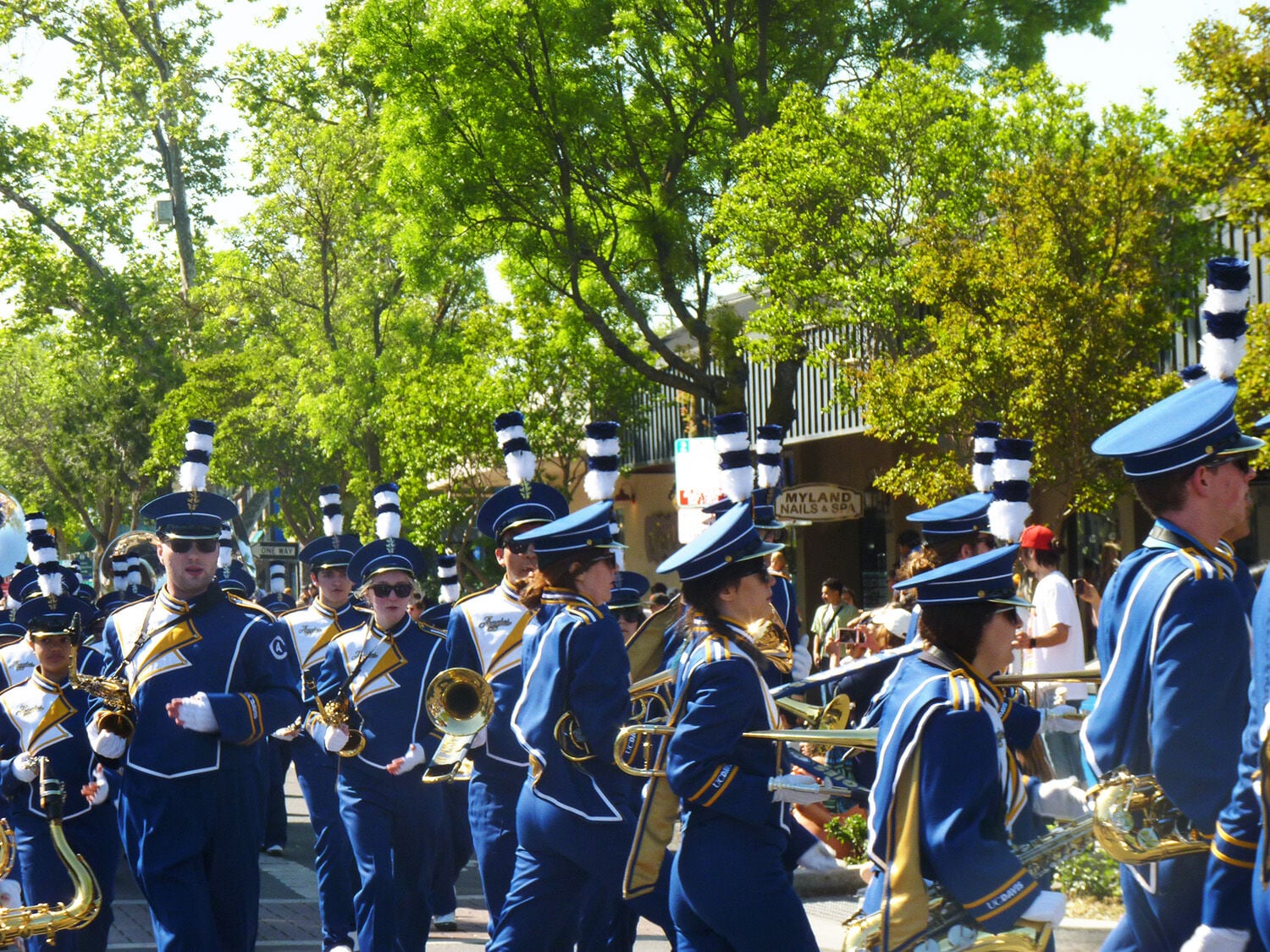 Visions of Picnic Day | News | davisenterprise.com
