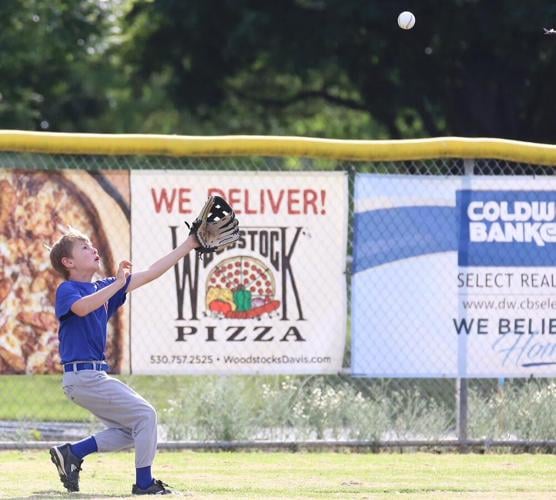 Red Sox claim Little League title, Local Sports