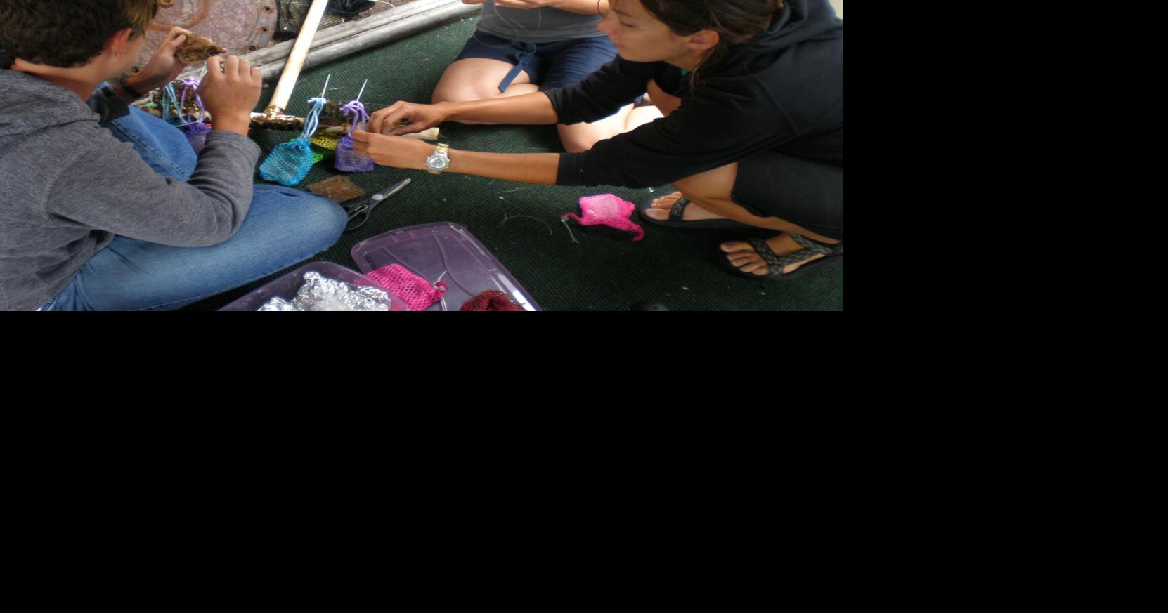 Chemicals plastics absorb may increase threat to marine life News