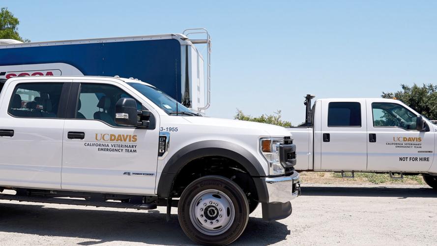 California Veterinary Emergency Team ready to help animals in wildfires ...