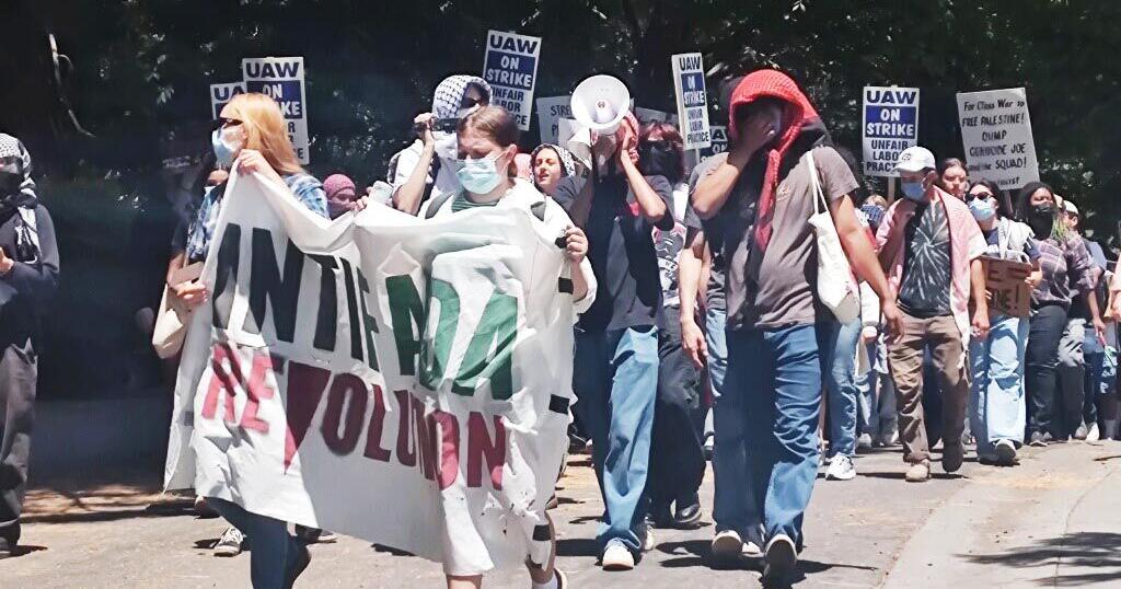 UCD grad students go on strike over Gaza response - Vimarsana News