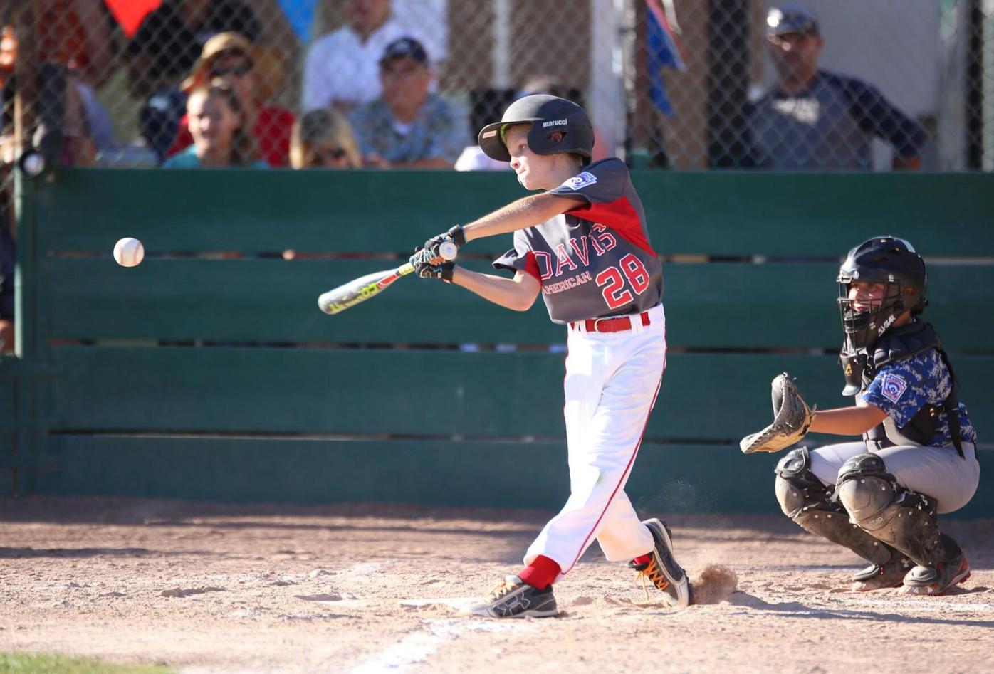 AA Pirates of Davis Little League with Dinger photo