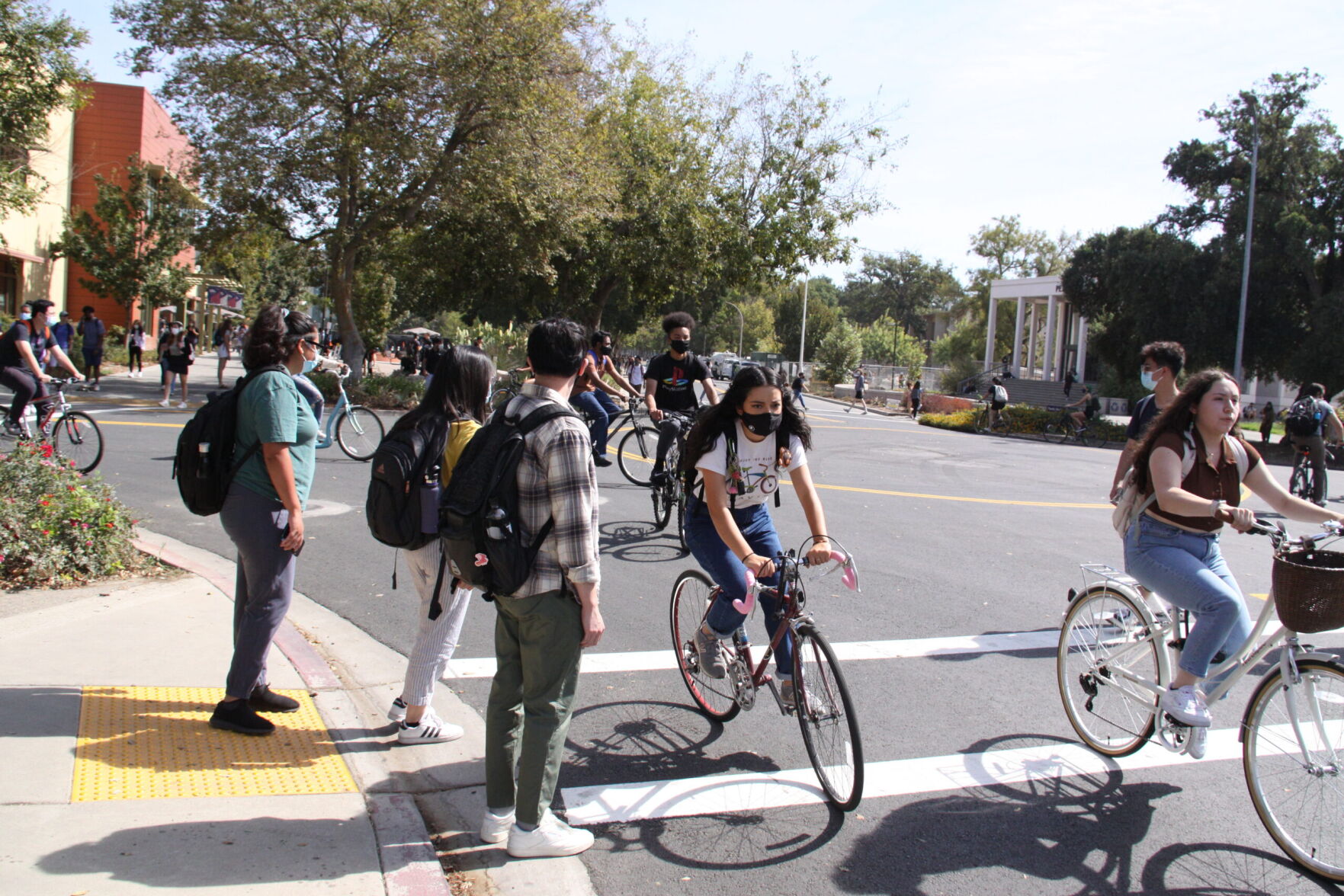 Ucd store bike shop