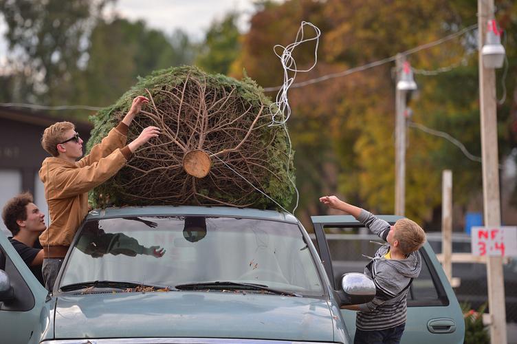 Davis Boy Scouts’ Christmas tree lot is open Community News