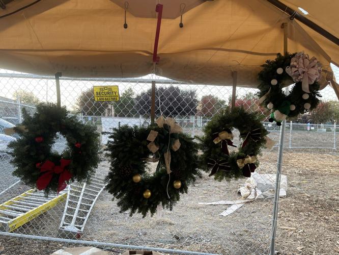 Davis Scouts Christmas Tree Lot still thriving after six decades