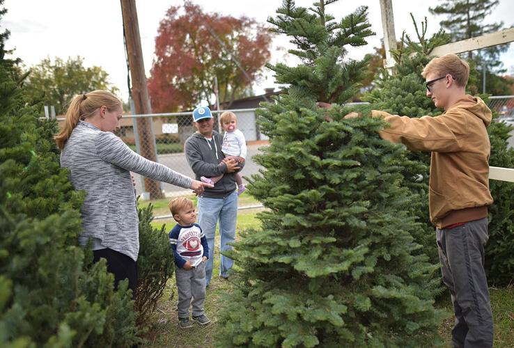 Davis Boy Scouts’ Christmas tree lot is open Community News