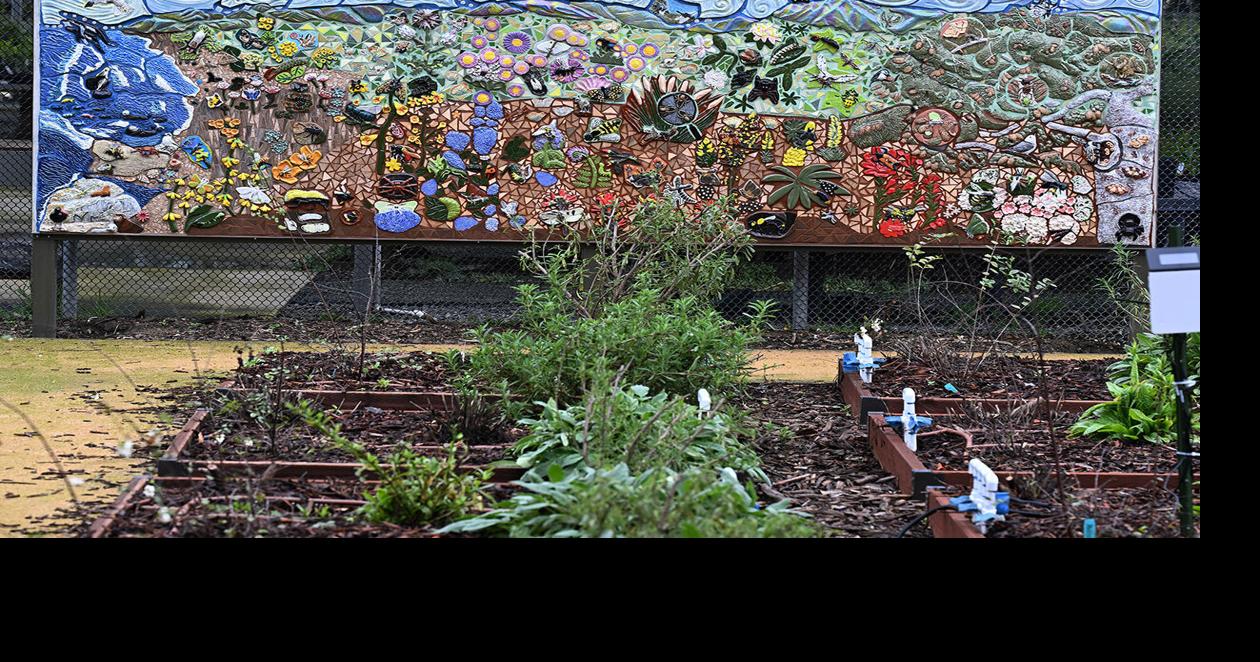 Students unveil insect murals at UC Davis | | davisenterprise.com