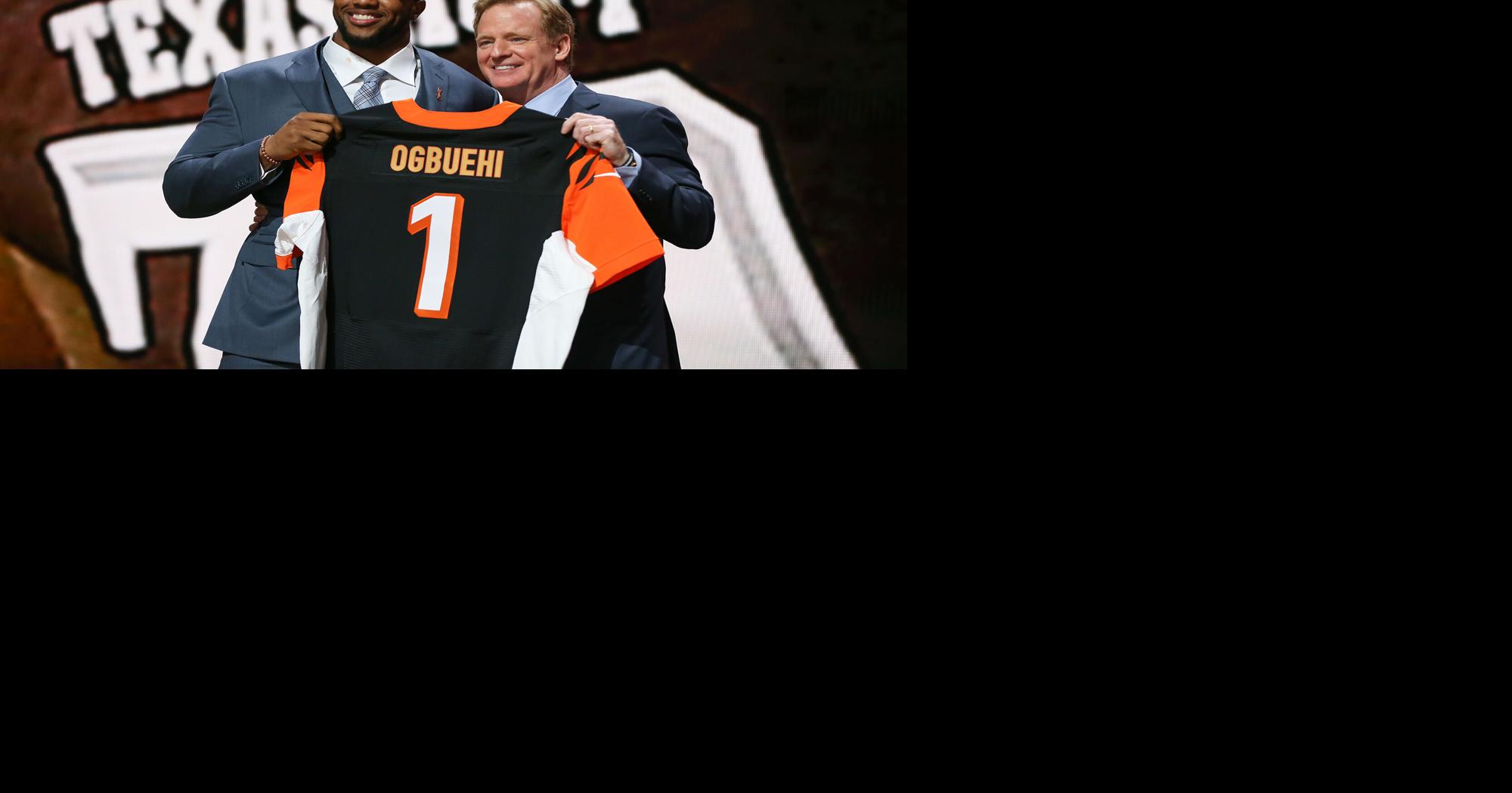 Former Buckeye: NFL should fire Roger Goodell | Sports ...