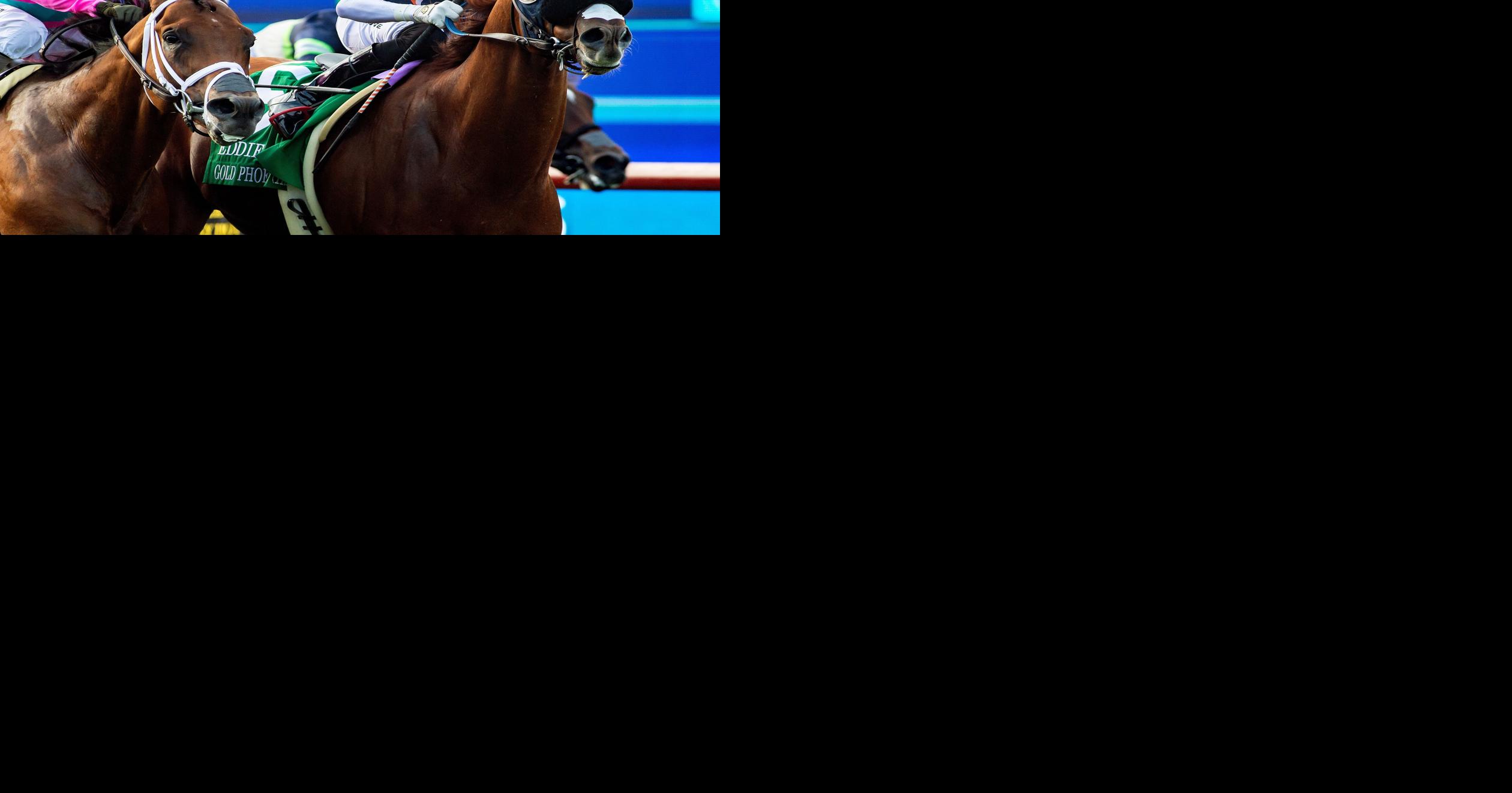 Del Mar Horse Racing