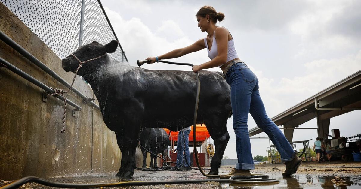 Heat advisory active today: High humidity expected to push index past 100
