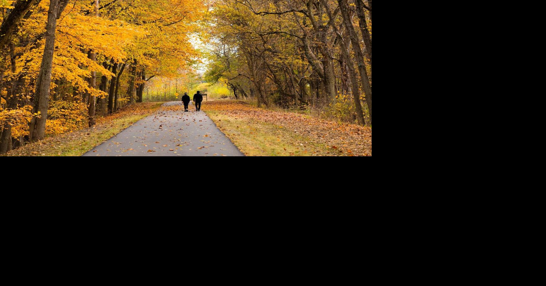 Peak fall color arrives across the Miami Valley, bringing weeks of vibrant views