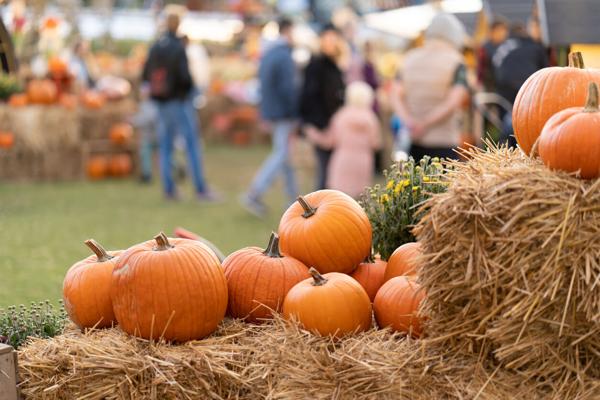 Things to do in southwest Ohio this weekend: Monster Mash, Hometown Halloween and more