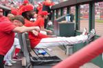 Royals Reds Baseball