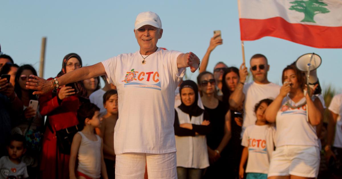 Lebanon Sea Turtle Activst Killed
