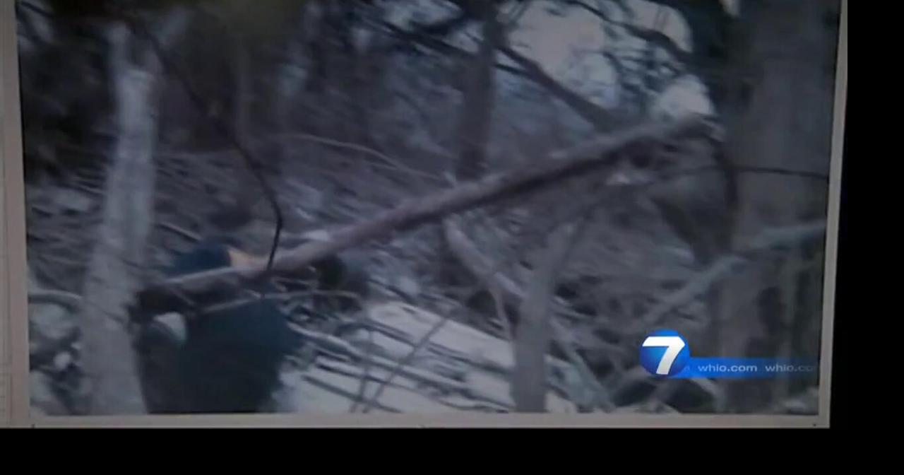 Deputy who misses double-fatal crash did not get out of cruiser | Local ...