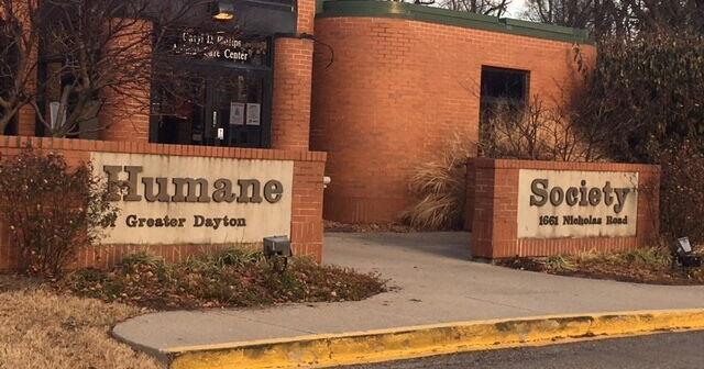 Humane society asks for fosters after dozens of dogs removed from Moraine home