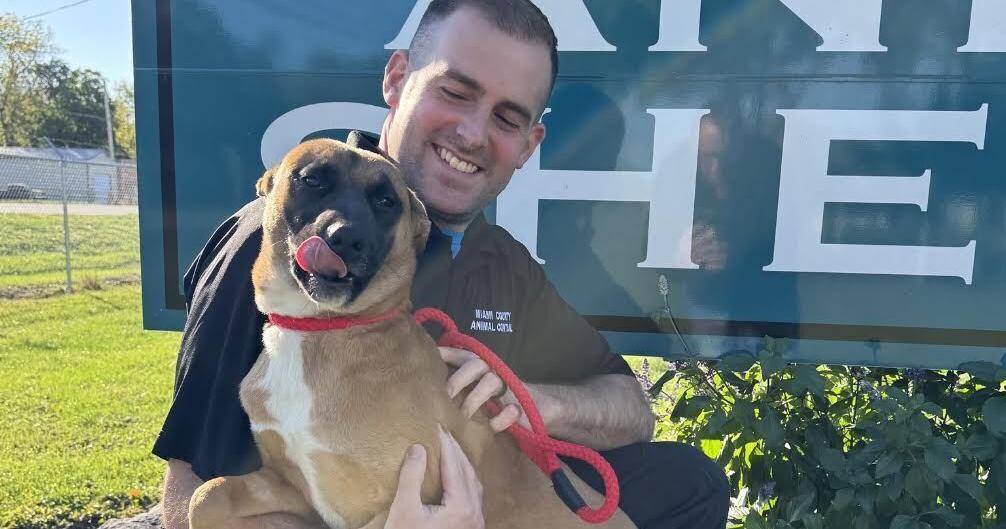 Plans for new Miami County Animal Shelter advance as commissioners select architect