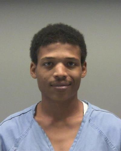 Dayton man accused of killing kitten in ‘fit of rage’ indicted | Crime ...