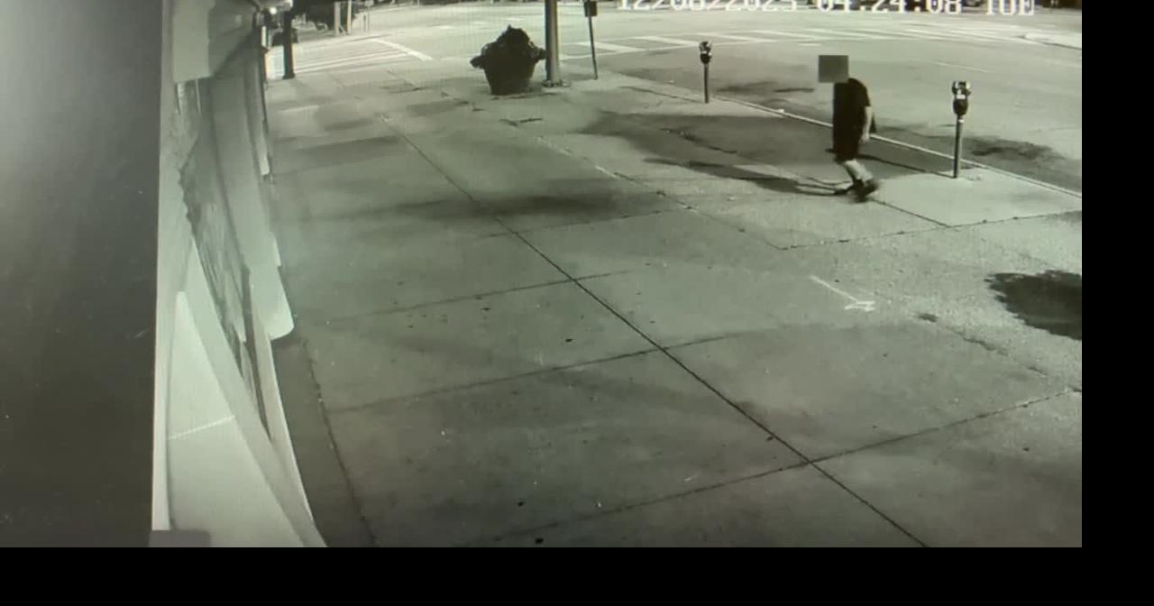 Downtown Dayton vandalism suspect pleads guilty to felony charges ...
