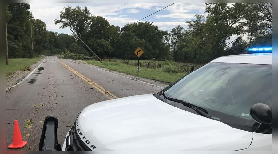Trees, power lines down as strong storms hit region | Local ...