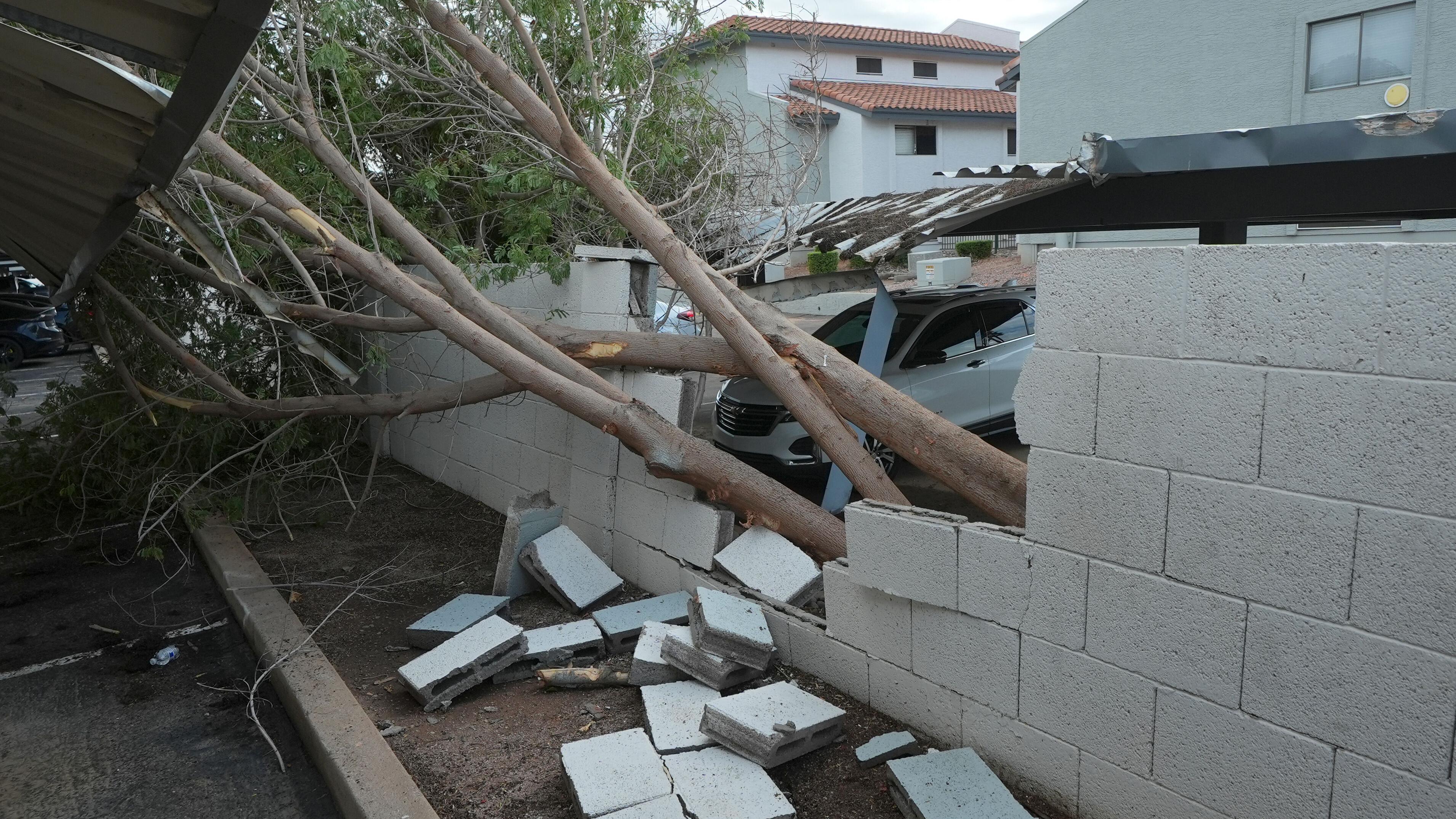 'Zeus was angry:' Arizona surveys damage from at least 3 rare tornadoes ...