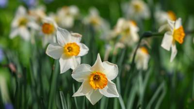 Warm April temperatures in Dayton near 1896 record pace | Local ...