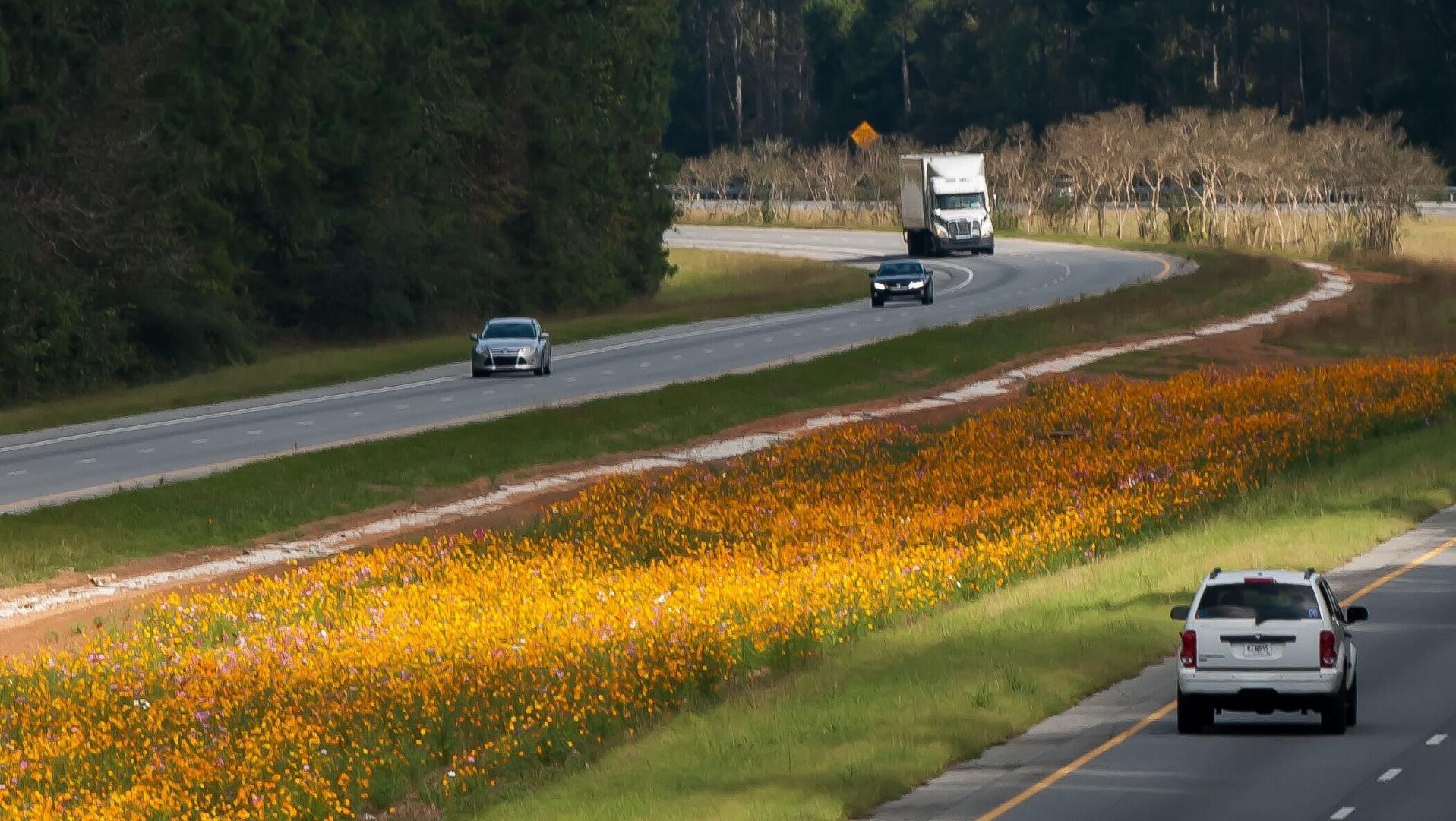 Roadsides dazzle with flowers and butterflies | Local | daytondailynews.com