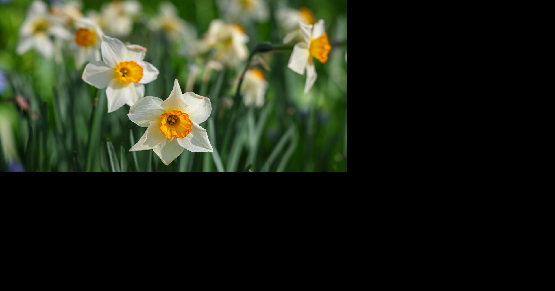 Mother’s Day weather brings pleasant temps and sunny skies