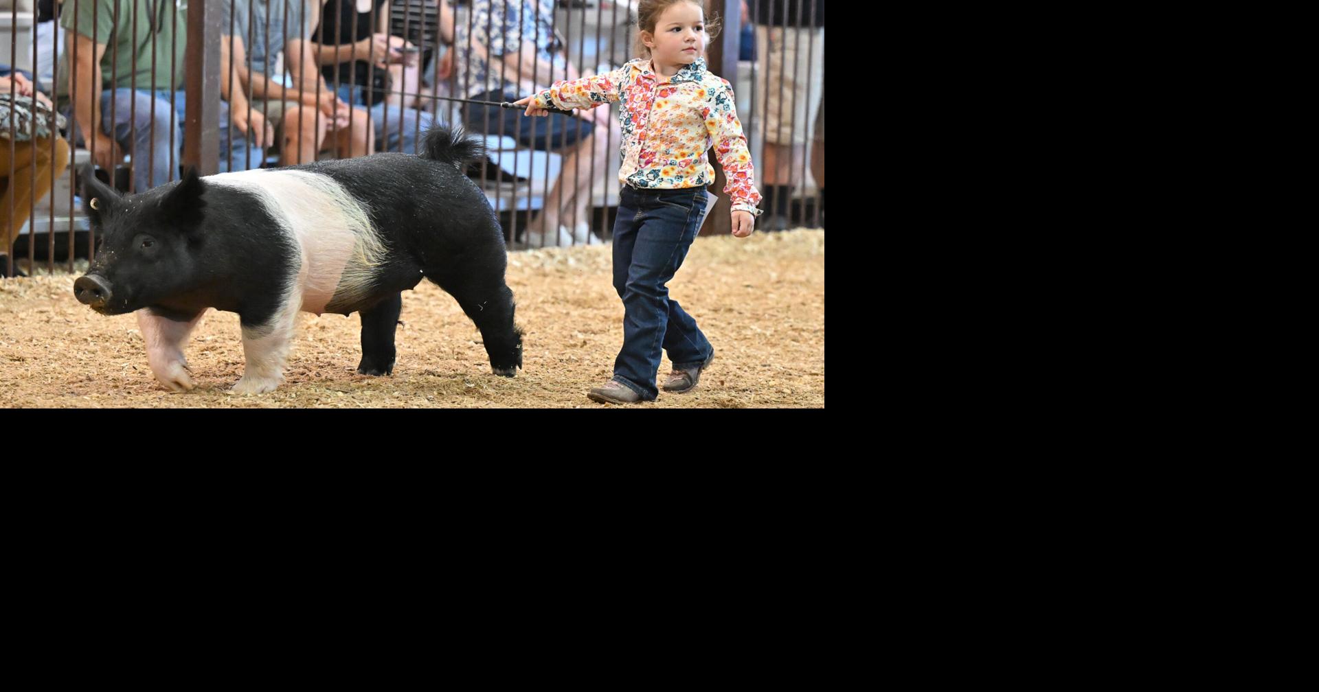 Greene County Fair continues through Saturday