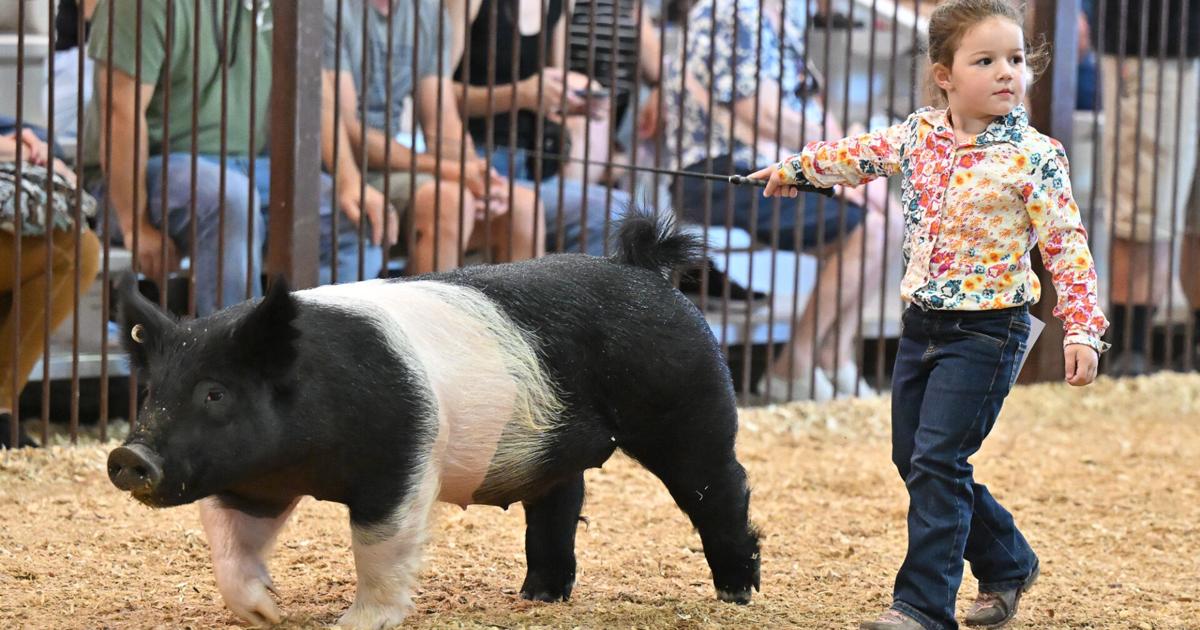Greene County Fair continues through Saturday