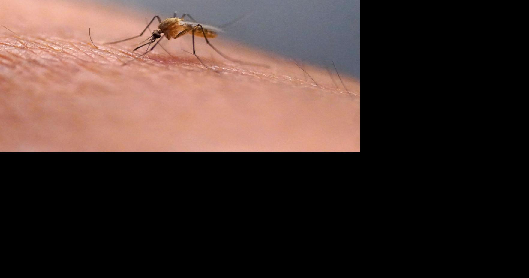 Dayton park to be sprayed after mosquitoes test positive for West Nile