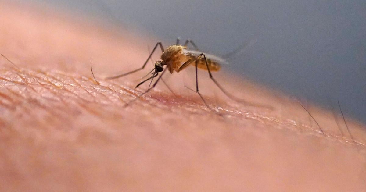 Dayton park to be sprayed after mosquitoes test positive for West Nile