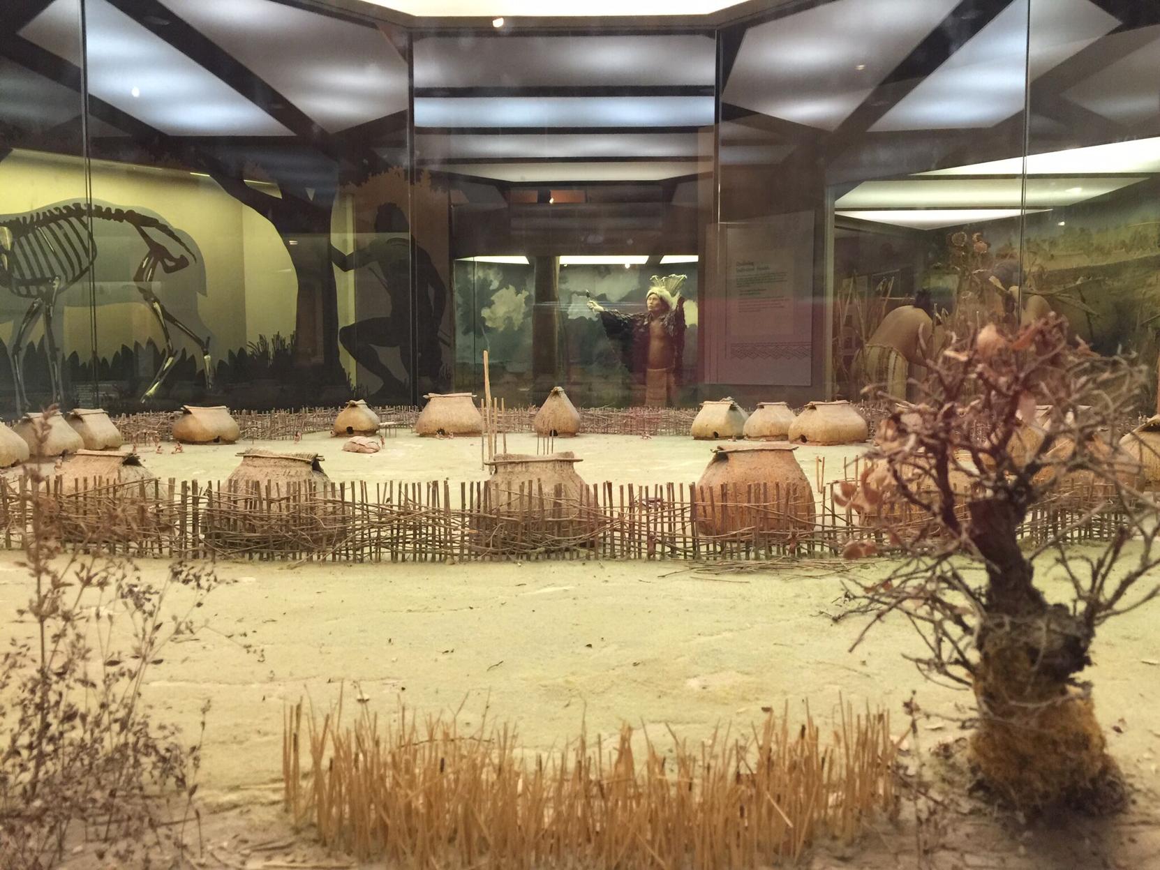 Sun Watch Project SunWatch Indian Village makes improvements while closed | Lifestyles ...