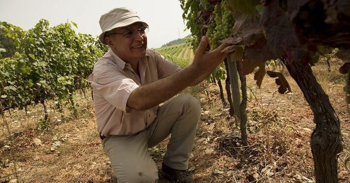 From Maritime Bairrada in Portugal, wines of natural freshness