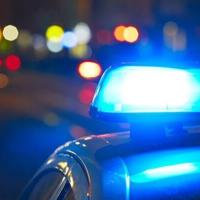 1 dead after shots fired during Harrison Twp. burglary