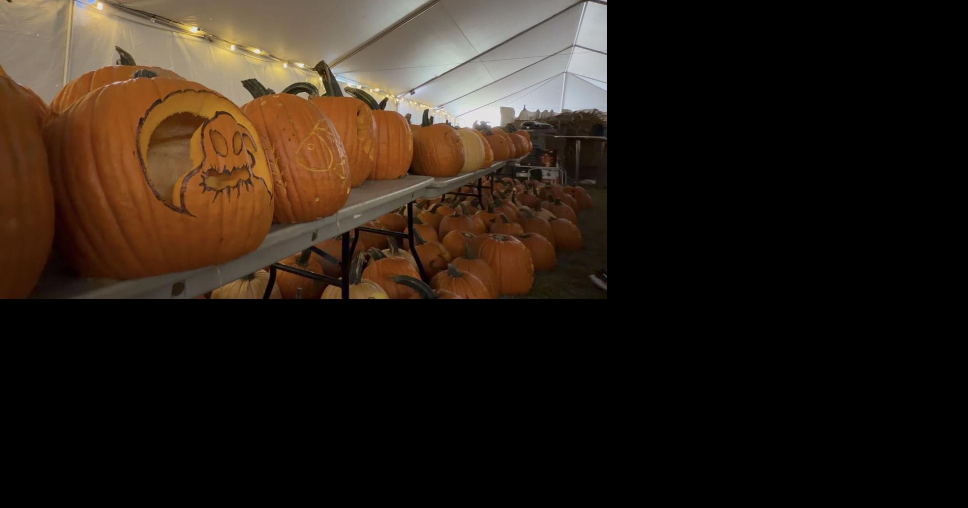 Pirates, bats, Dolly Parton make up carvings at Stoddard Avenue Pumpkin Glow