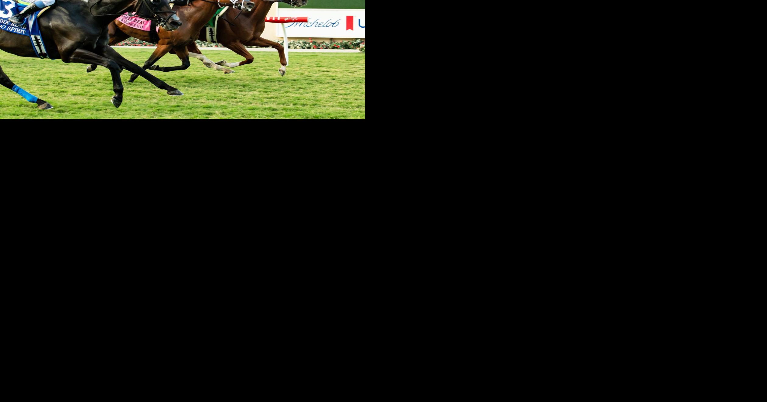 Del Mar Horse Racing