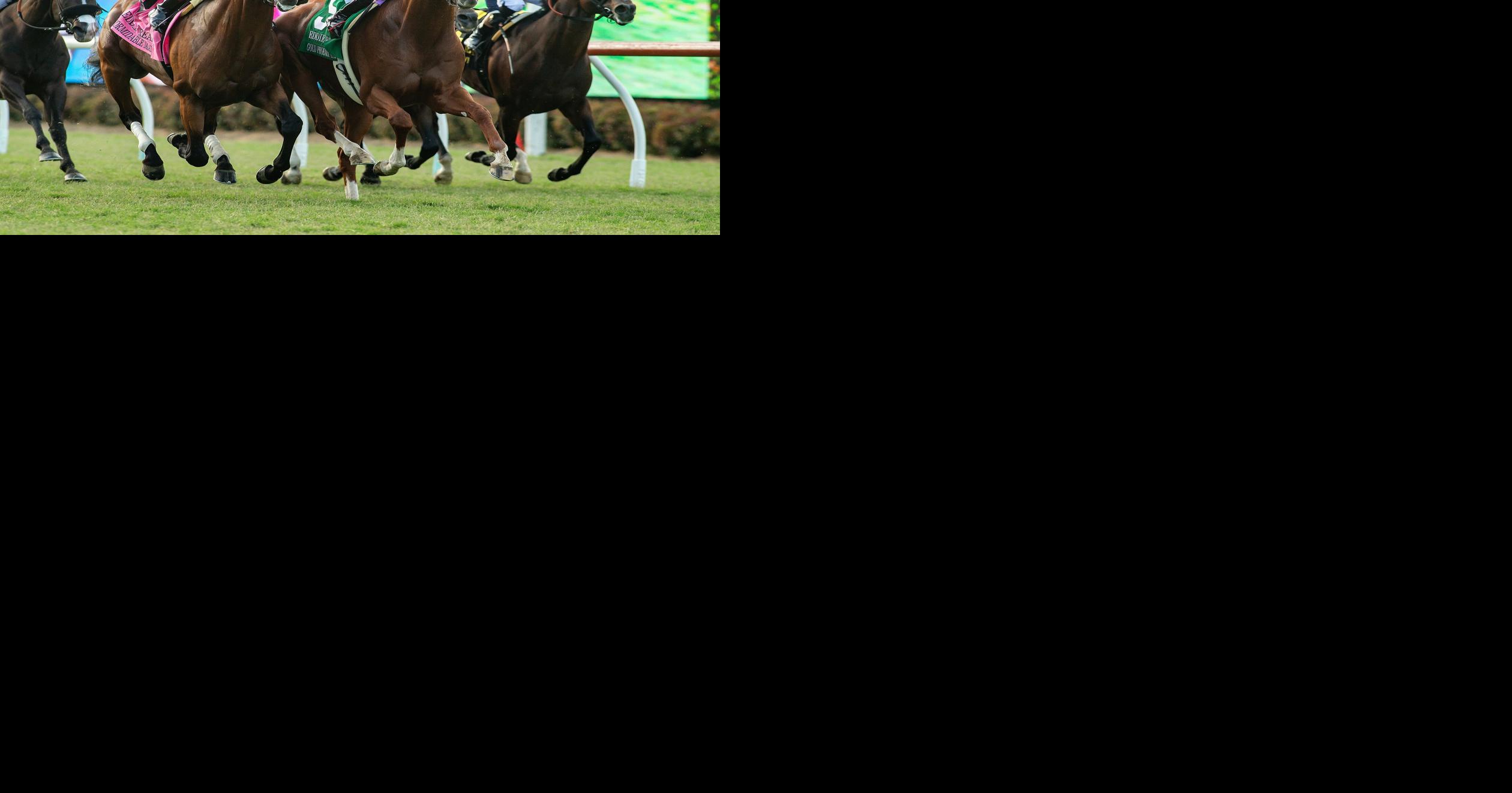 Del Mar Horse Racing