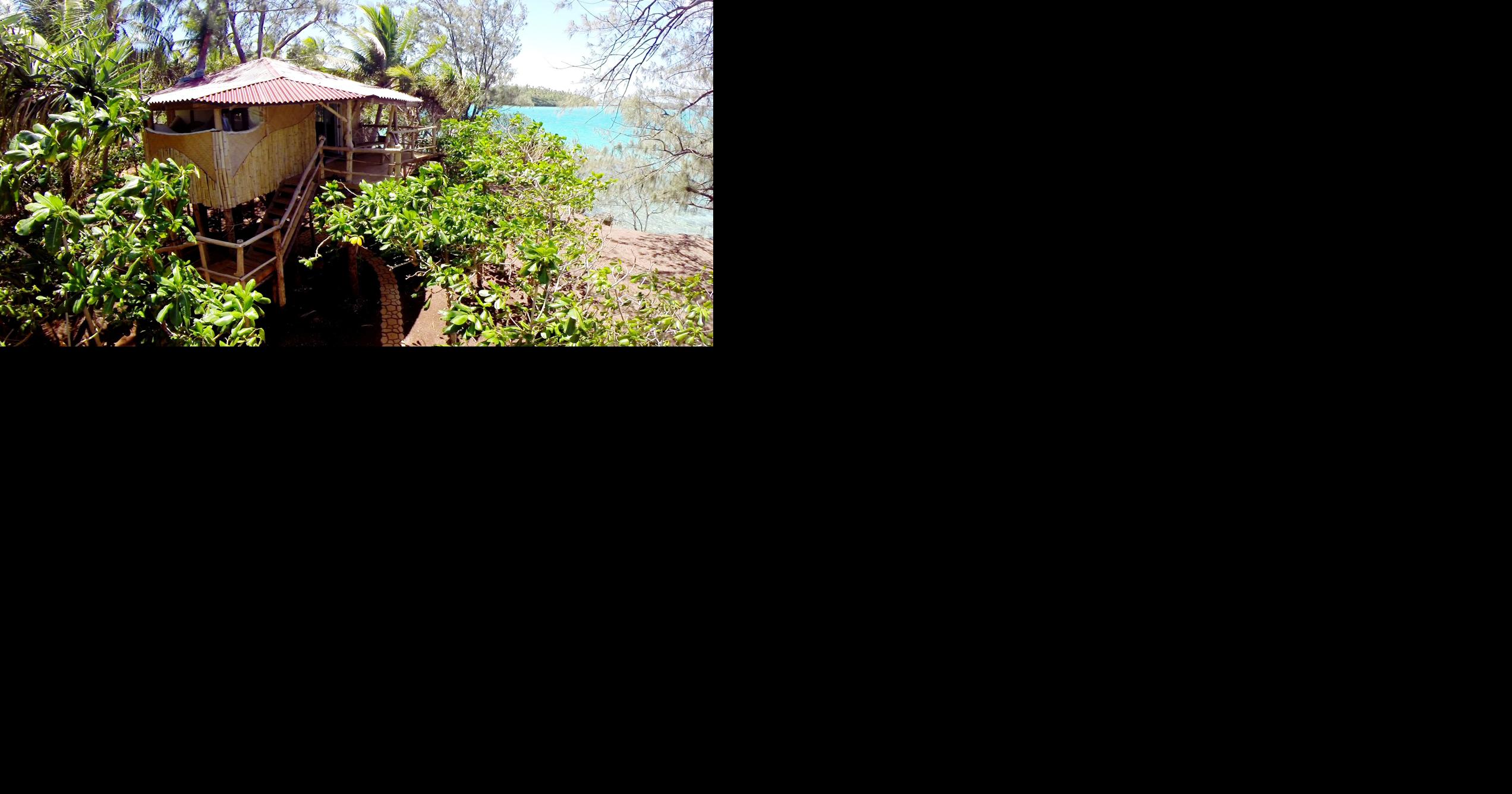 In the Kingdom of Tonga, underwater wonders and Polynesian hospitality ...