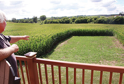 aaIMG_6319 - Copy.jpg