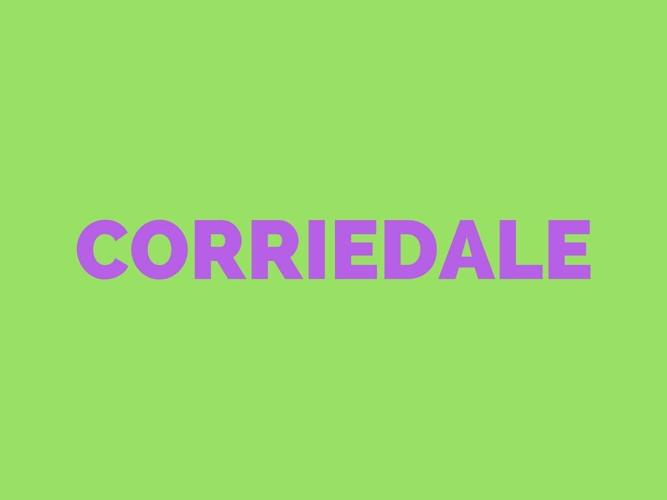 CORRIEDALE