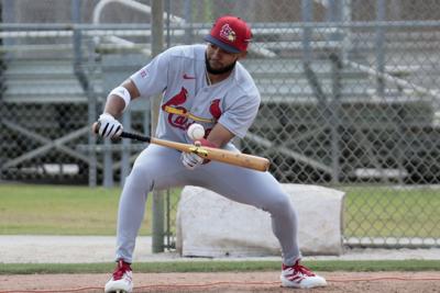 Cardinals Thursday spring training workouts