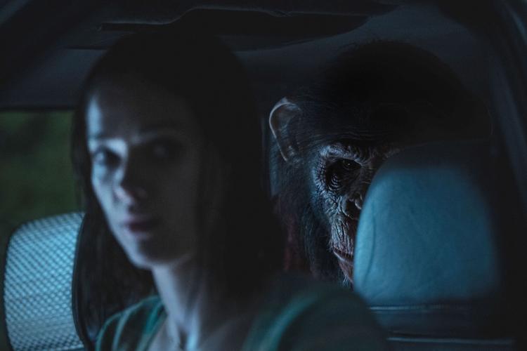 ENTER-PRIMATE-MOVIE-REVIEW-FILEPIC-1-MCT.jpg