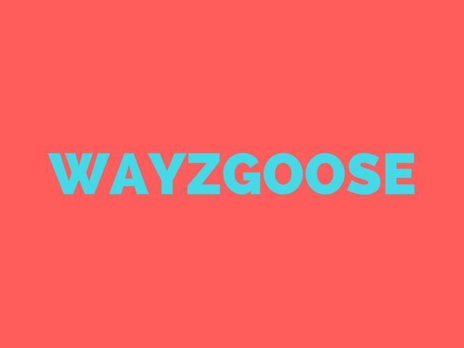 WAYZGOOSE