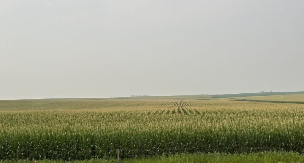 Hot, dry weather keeps Iowa crops ahead of schedule