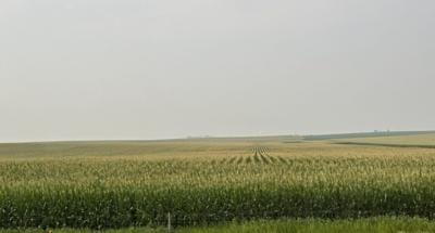 Hot, dry weather keeps Iowa crops ahead of schedule