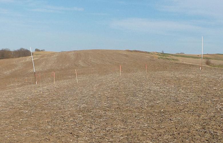 As requested photos of mesh placed to stop landroid digging into the ground  : r/worxlandroid